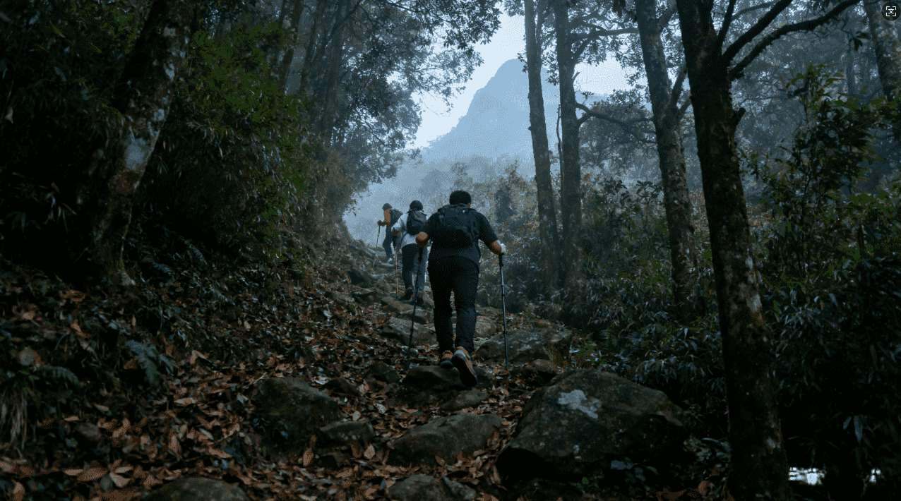 网吧免费VPN加速器有哪些实用推荐